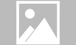 在娱乐圈吃瓜爆料的小说推荐,瓜田李下，揭秘明星背后的秘密